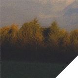 Muzaik 013 / Alex Humann