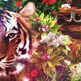 MC Zlatý Strom presents Jungle Edition mixed by dj Drill