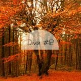Derek Tatol - Dive 12