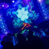 Tim Duster - Shpongle & Hallusinogen warm up set February 2012