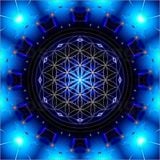 A Trip Through The Cosmos (Progressive 135bpm)