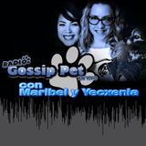 RADIO GOSSIP PET EN VIVO - 2 ENERO 2014