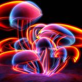 Progressive Psytrance Set - Pireh Progressive - Nov 2011