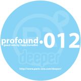 Profound 012 (guest mix by Yann Goredini)