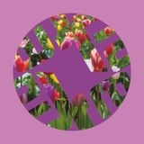 Ruffsound - Ritmu Asorti (08.03.2014)