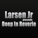 Larsen Jr - Deep In Reverie 036