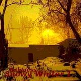 Snowy Winter 1