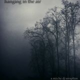 Hanging In The Air