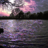 Losing the Light