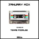 JANUARY MIX (Mixed by TOMAS FIDALGO)