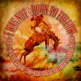 I WAS NOT BORN TO FOLLOW - folk & country infused west coast sounds for heads & prairie gypsies