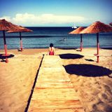 Summer Memories