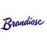 Brandiose corporate marketing event, Florida (Fall 2013)