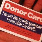 organ donor feat gorgio blues brothers liberte b 52