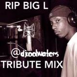 Big L Tribute