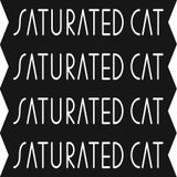 The Cat came back
