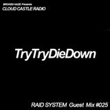 'CLOUD CASTLE RADIO' x 'RAID SYSTEM' Guest Mix #025: TryTryDieDown