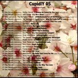 SeeWhy CupidlY05