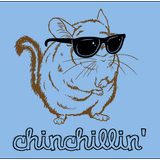 Chinchillin!