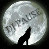 dj pause-wild mixer