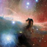 Faces The Horsehead Nebula