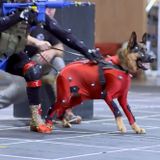 Trys Gyvybės S02E11 (2013-05-24)