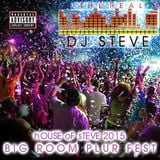2015 House Of Steve: Big Room Plur Fest