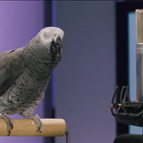 U konce s dechem 28/1/2016 - Český film 2015, host: Jaromír Blažejovský