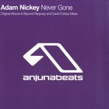 Adam Nickey - Never Gone