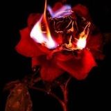 Burning at Both Ends