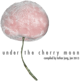 Under The Cherry Moon