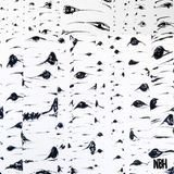NBHcast / No Big Hair 2013