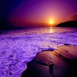 Sunset Vol. 7