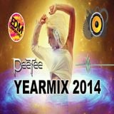PeeTee Yearmix 2014 - Electro & House Club Mix