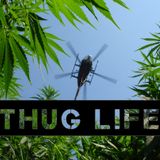 thug life