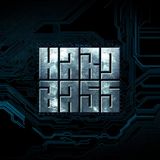 Brennan Heart, Zatox, Atmozfears @ Hard Bass 2015 Team Green