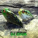 Dj Zvuk - Spring the Bass