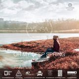 Oh My Deep Spring Mix