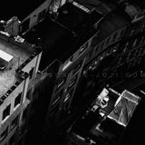 fearless (OKABE-JOJI.COM)