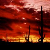 In Arizona Mood
