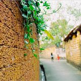 Mùa xuân chạm ngõ quê tôi