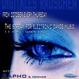 01.11.2012 - digitales rauschen - Purgatory - Hamburg