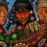 Psysert's Ayahuasca mix