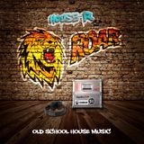 DJ House-R´s - Roar