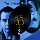 Brejo - The Sound You Need vol. 2
