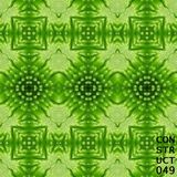 Construct #049