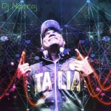 Audien vs Zedd ft Haley Williams - Stay The Night With Elysium (djneeraj Mashup)