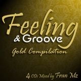 Feeling & Groove Gold Edition 02 (Club)
