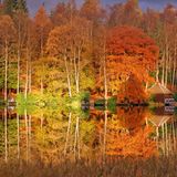 Autumn In Scotland