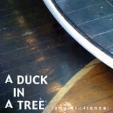 A Duck in a Tree 2013-04-06 | Nowhere Left to Burn